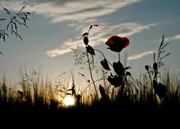 Tenuta Rivalazzo Gospodarstwo wiejskie *